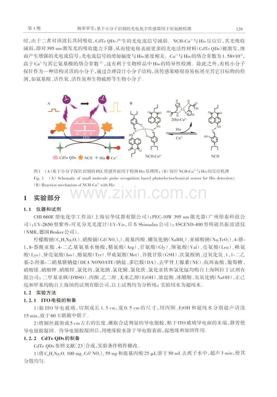 基于小分子识别的光电化学传感器用于组氨酸检测.pdf_第2页