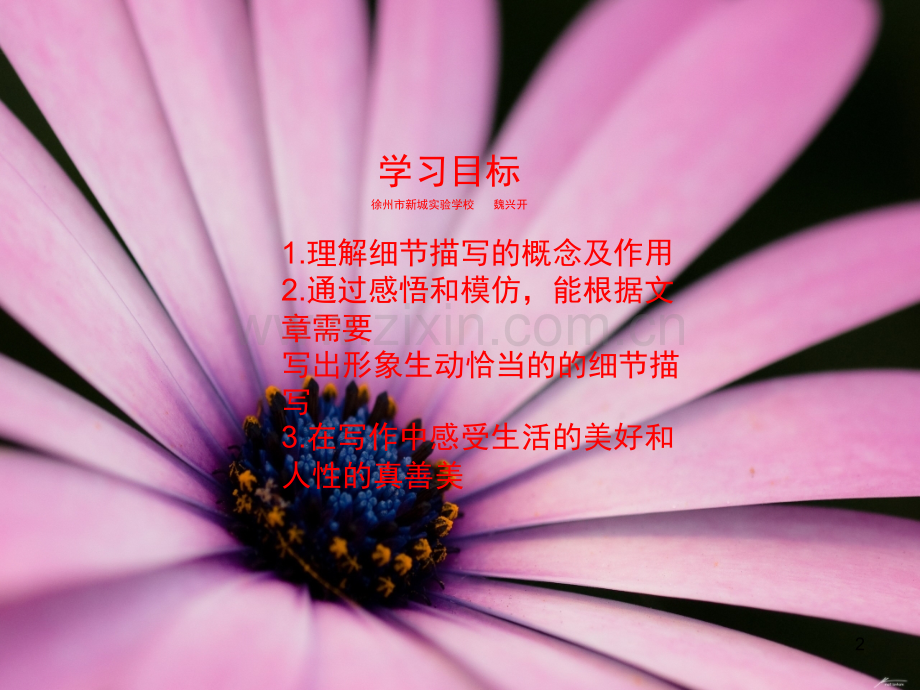 细节描写练习(课堂PPT).ppt_第2页