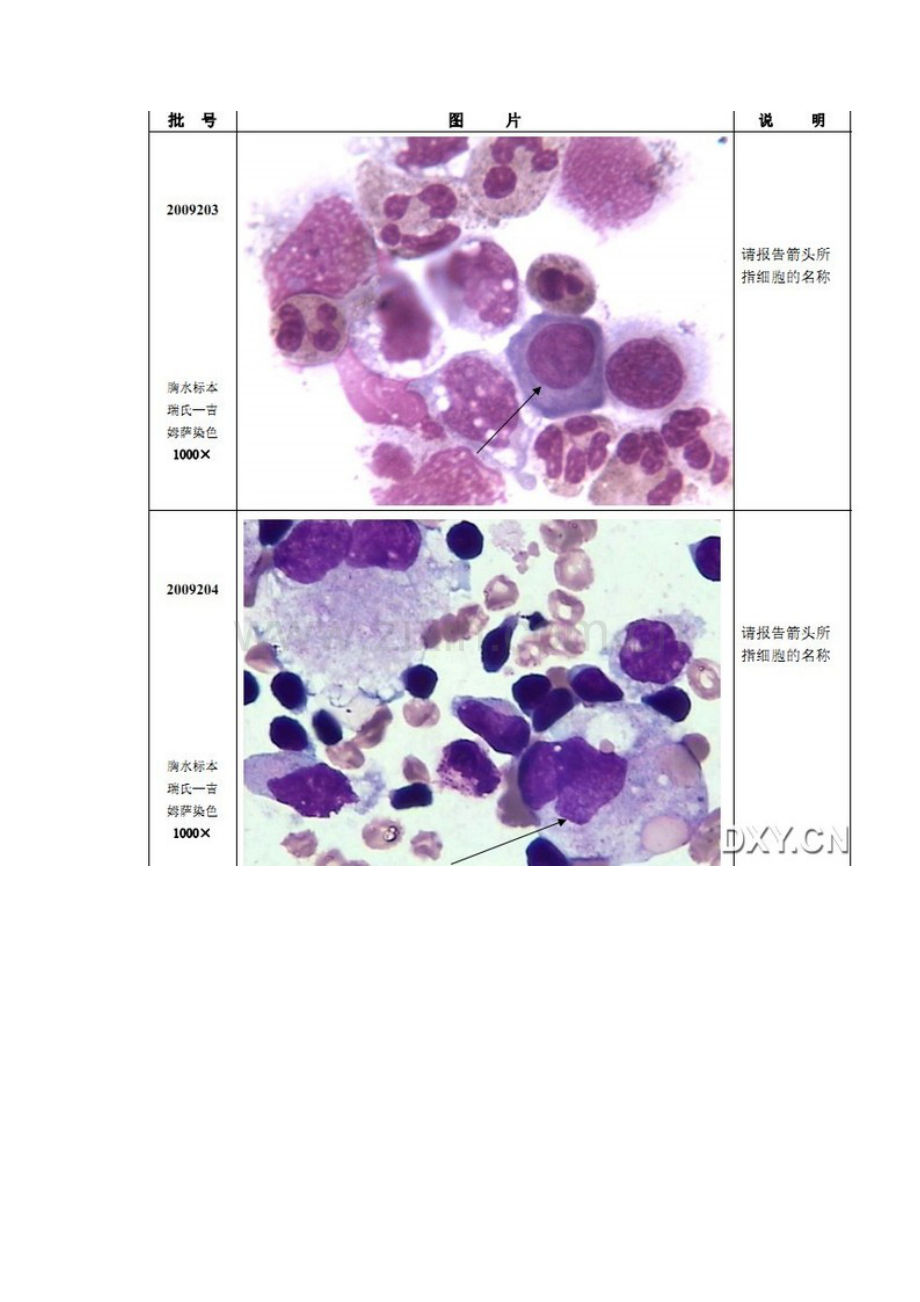 细胞形态学图片.doc_第2页