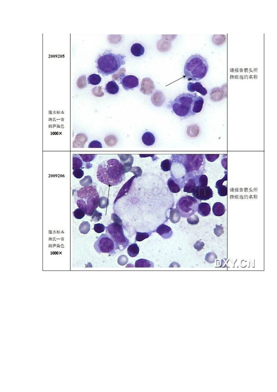 细胞形态学图片.doc_第3页