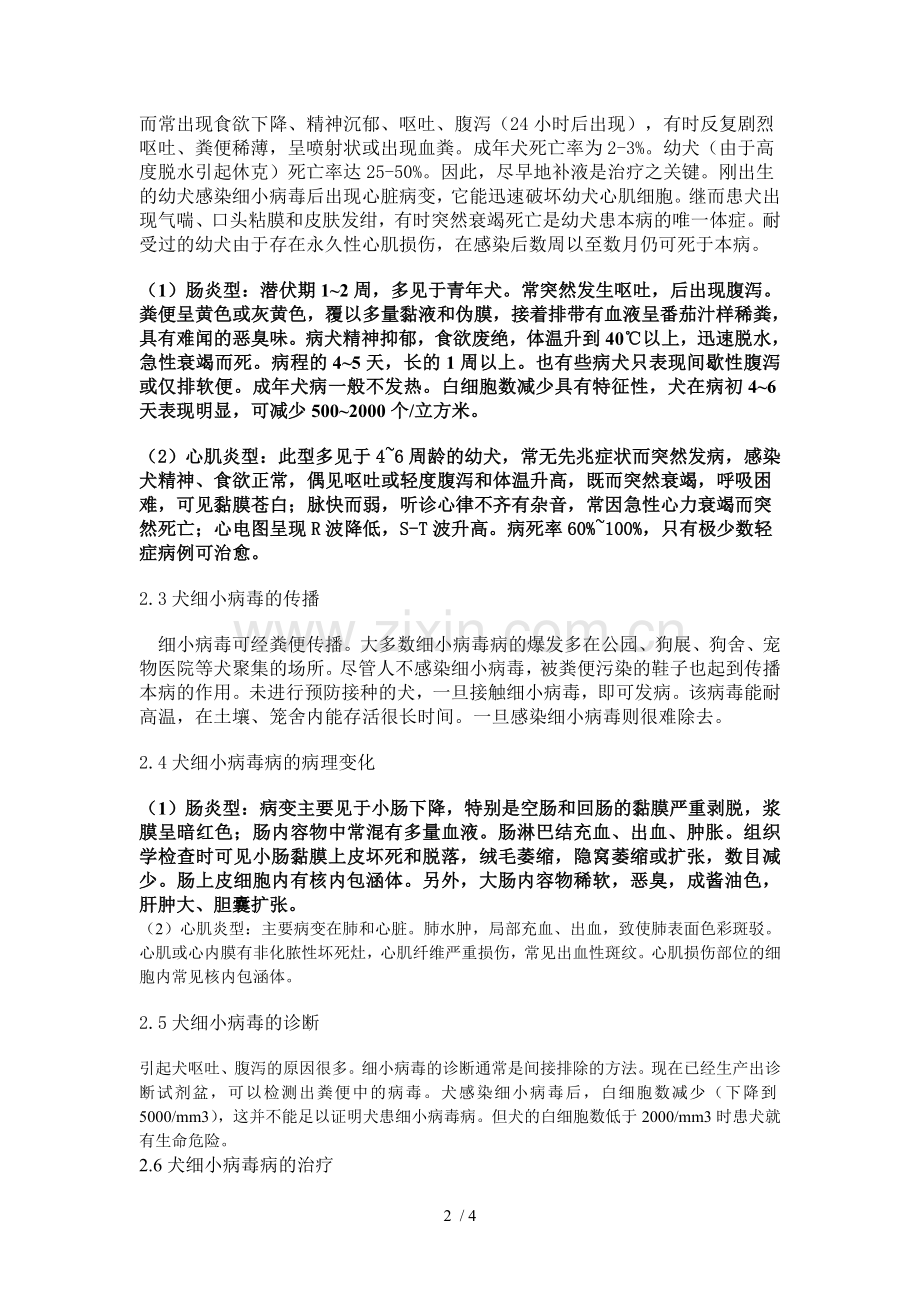 犬细小病毒论文综述.doc_第2页