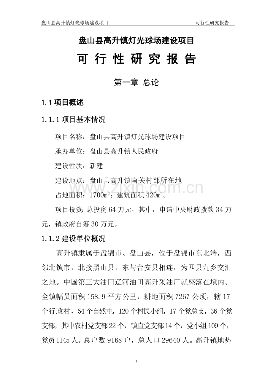 高升镇灯光球场项目申请建设可行性分析报告.doc_第1页