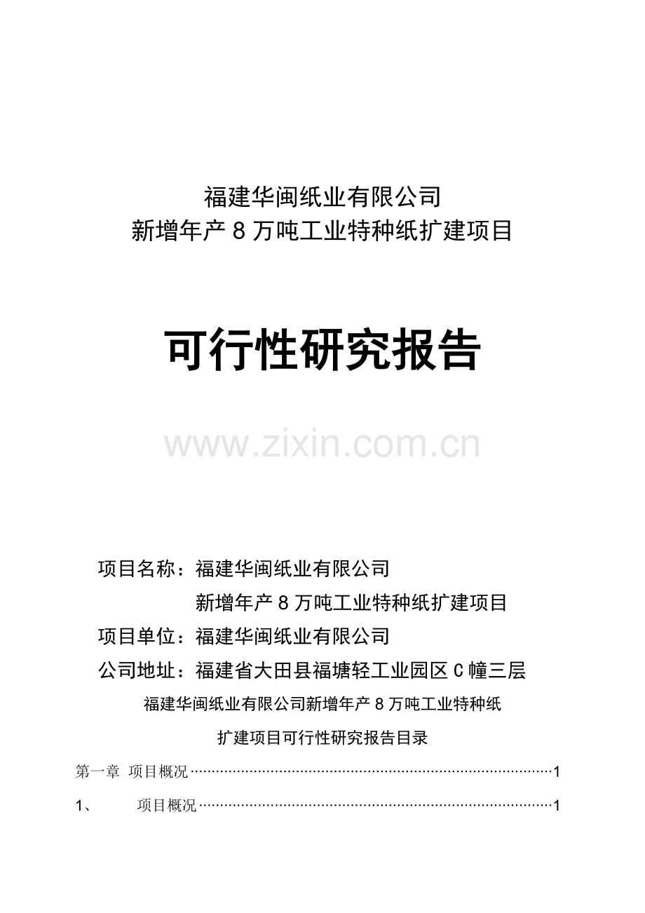 8万吨离型纸扩建项目建设可行性研究报告.doc_第1页