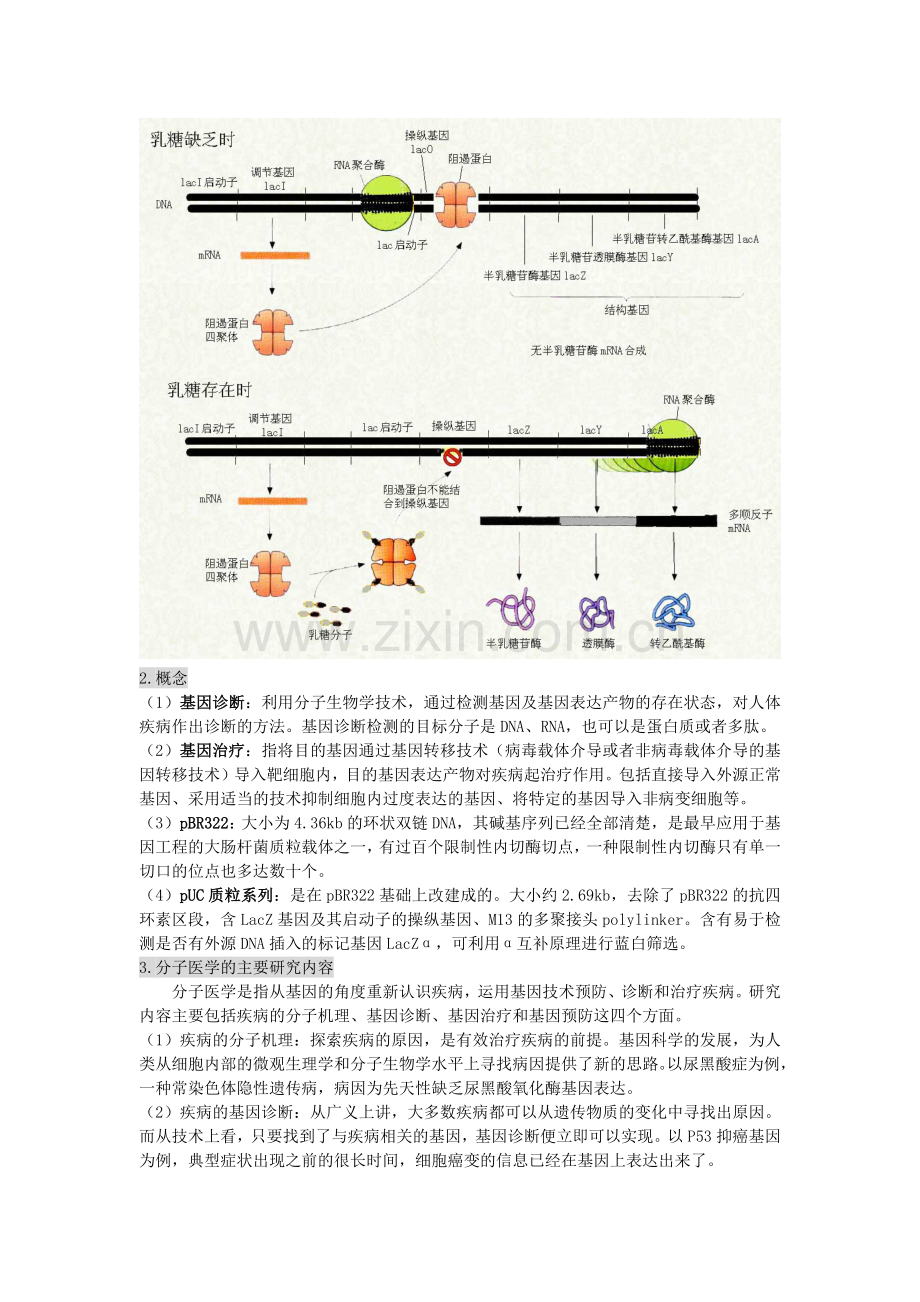 生物化学与分子生物学进展(基础)期末考试总结.doc_第2页