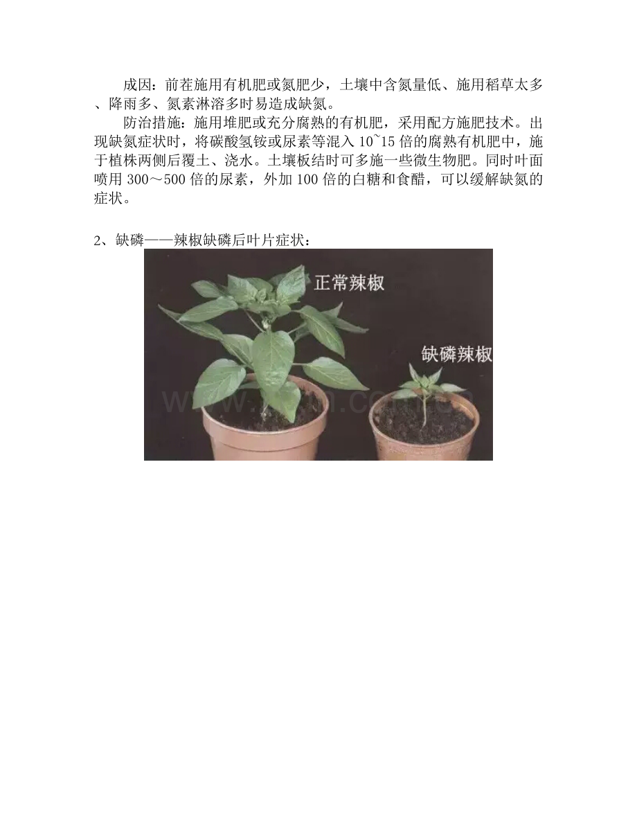 辣椒缺素症.doc_第3页