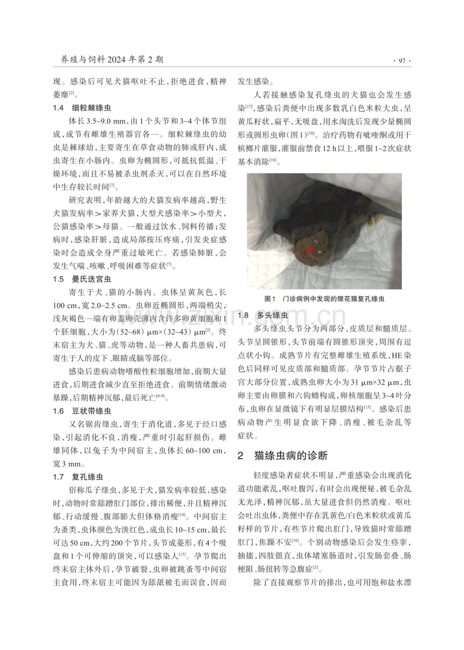 猫常见绦虫病的诊断与综合防治.pdf_第2页