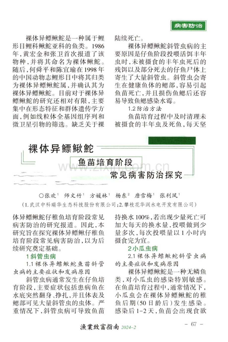 裸体异鳔鳅鮀鱼苗培育阶段常见病害防治探究.pdf_第1页