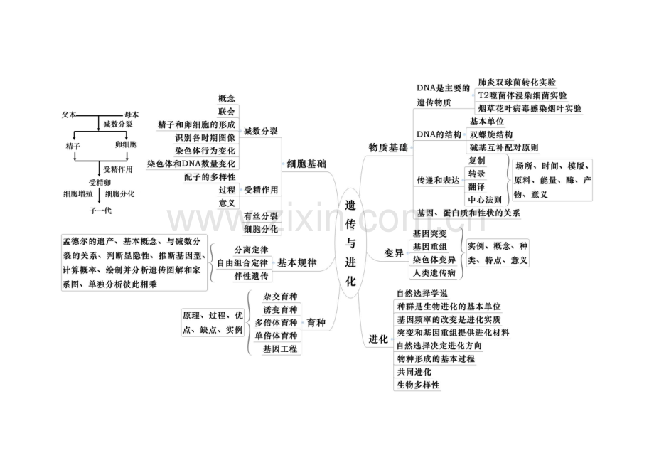 生物的必修2思维导图.doc_第1页