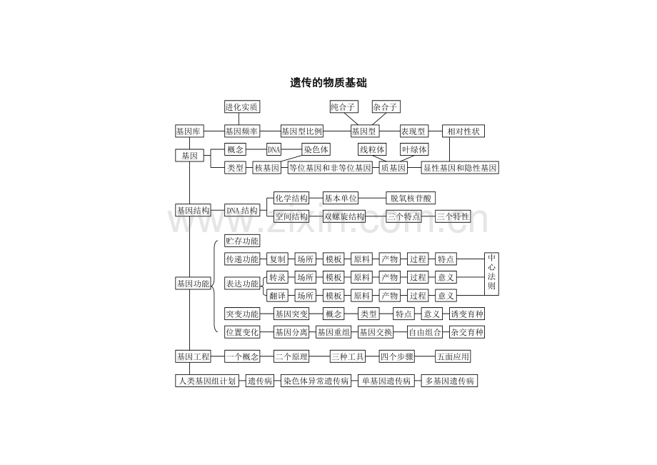 生物的必修2思维导图.doc_第2页