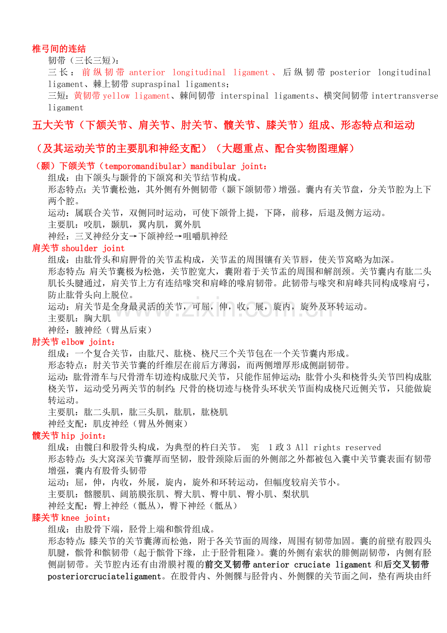 系统解剖学心得体会+笔记.doc_第3页