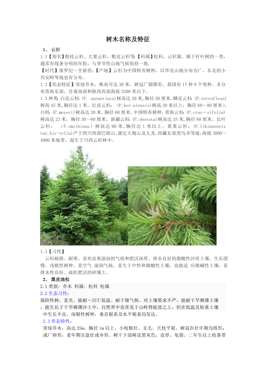 树木名称及特征.doc_第1页