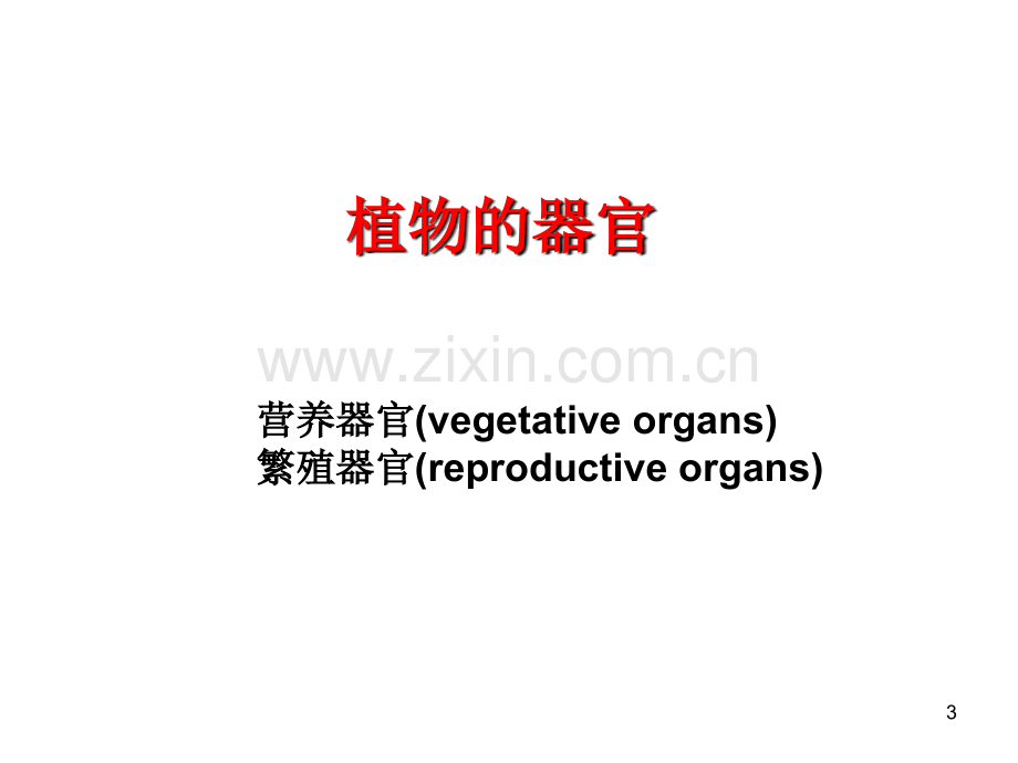 药用植物学课件——-根.ppt_第3页