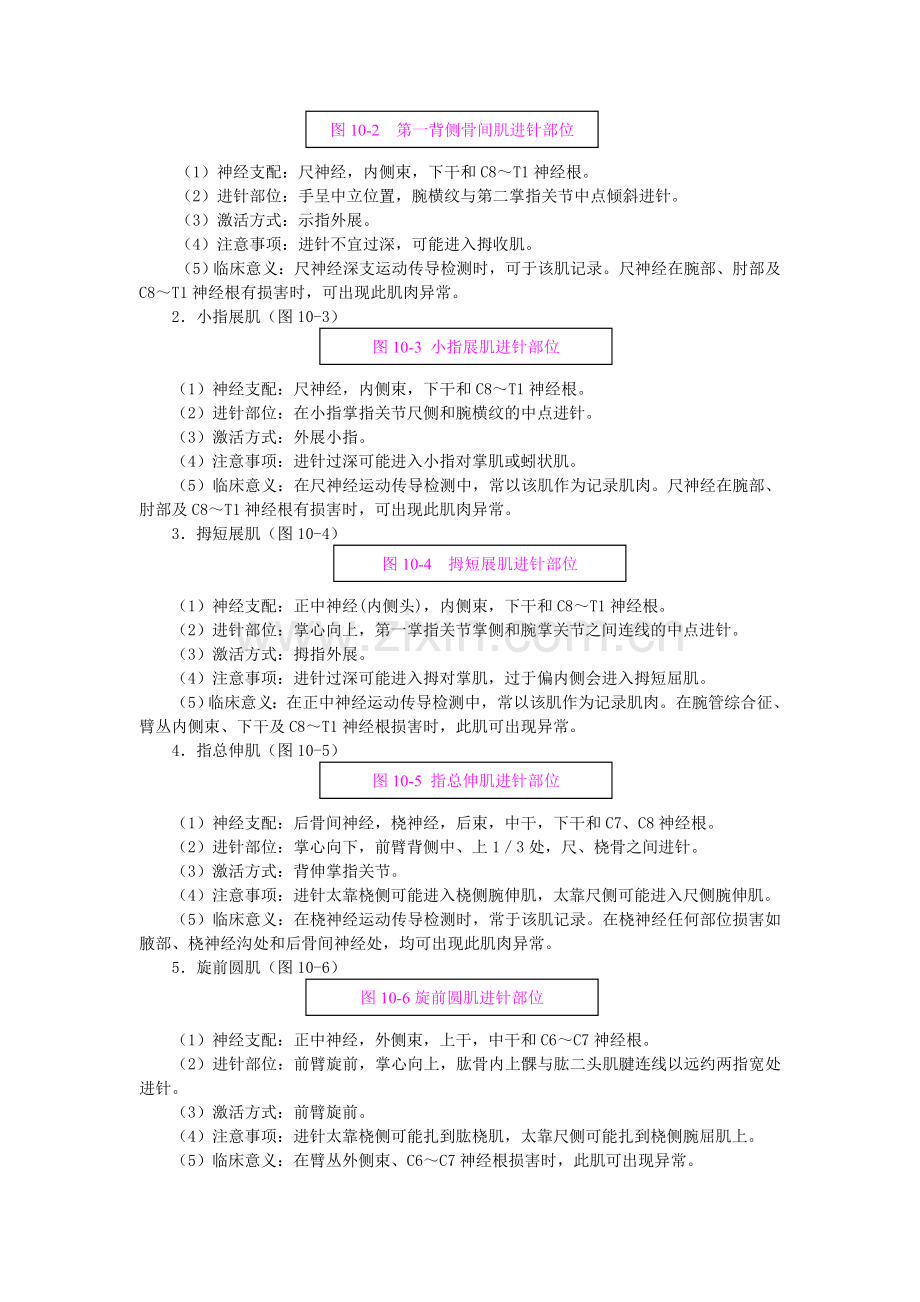 神经电生理.doc_第3页