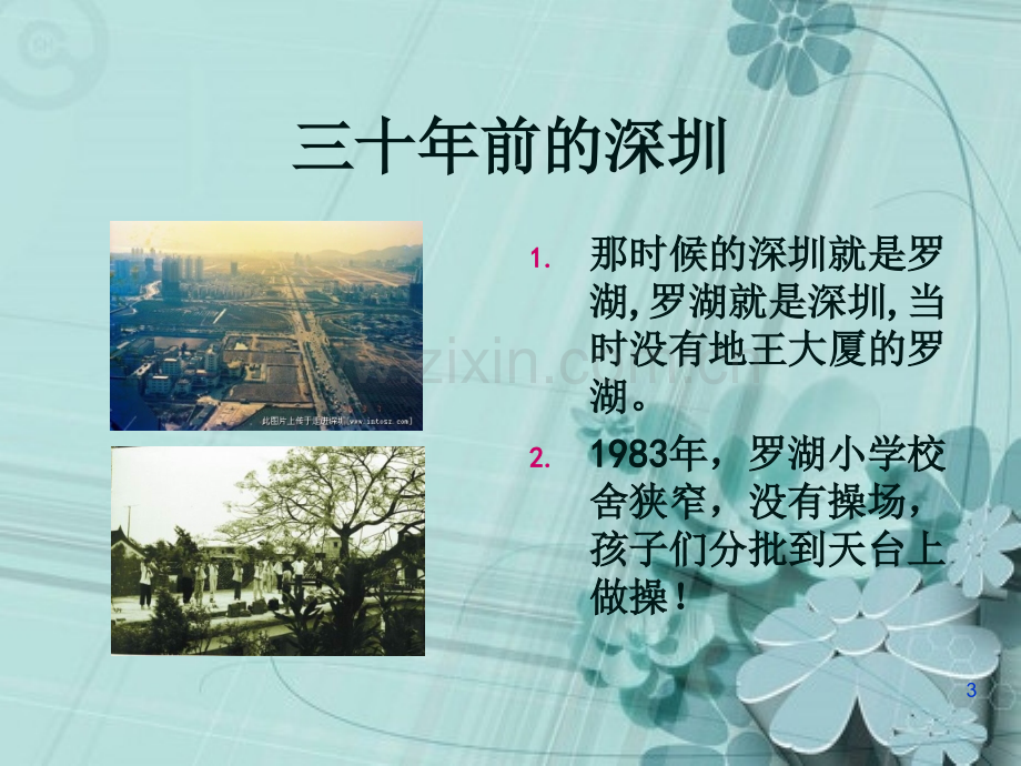 深圳改革开放三十年.ppt_第3页