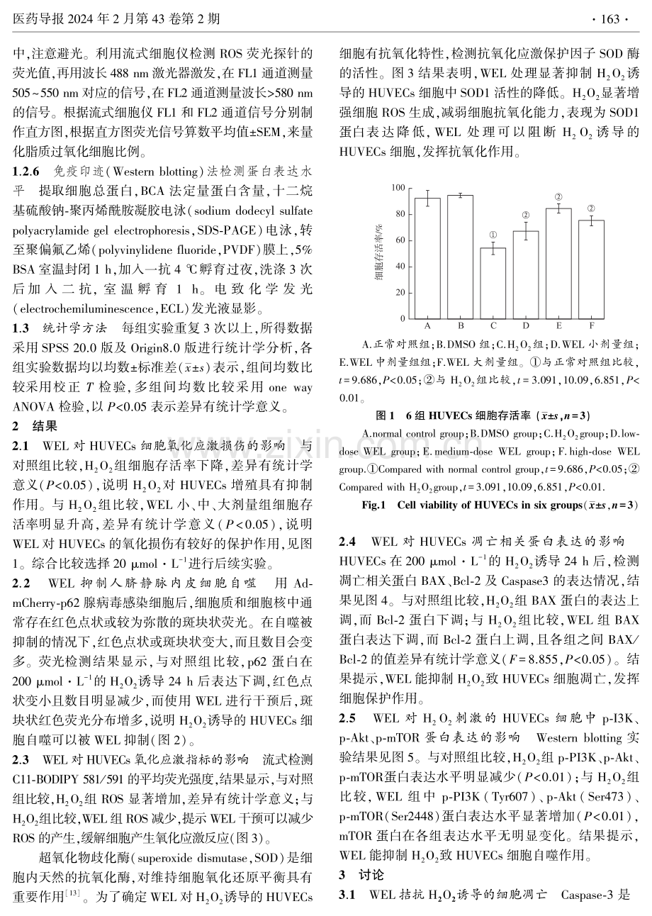 蟛蜞菊内酯通过PI3K_Akt_mTOR信号通路对人脐静脉内皮细胞氧化损伤的影响.pdf_第3页