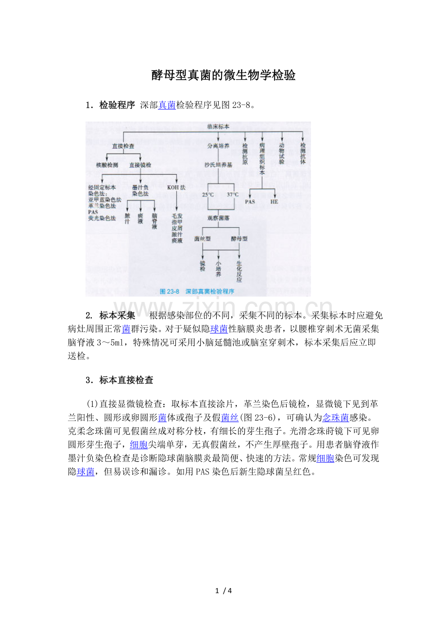 酵母型真菌的微生物学检验.doc_第1页