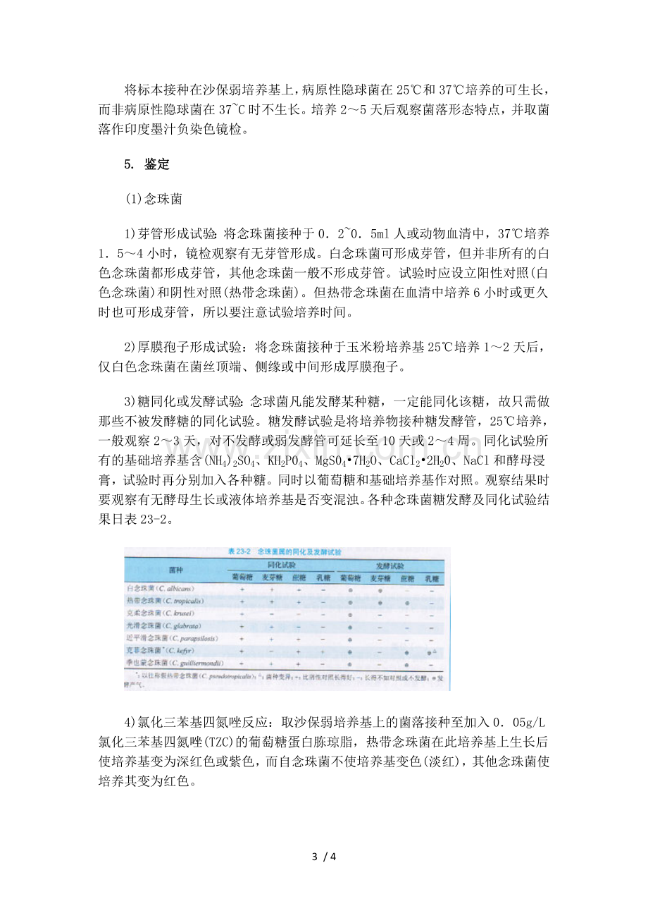 酵母型真菌的微生物学检验.doc_第3页