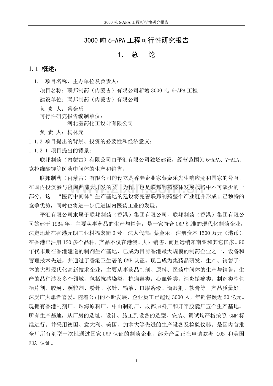 3000吨6apa工程可行性研究报告.doc_第1页