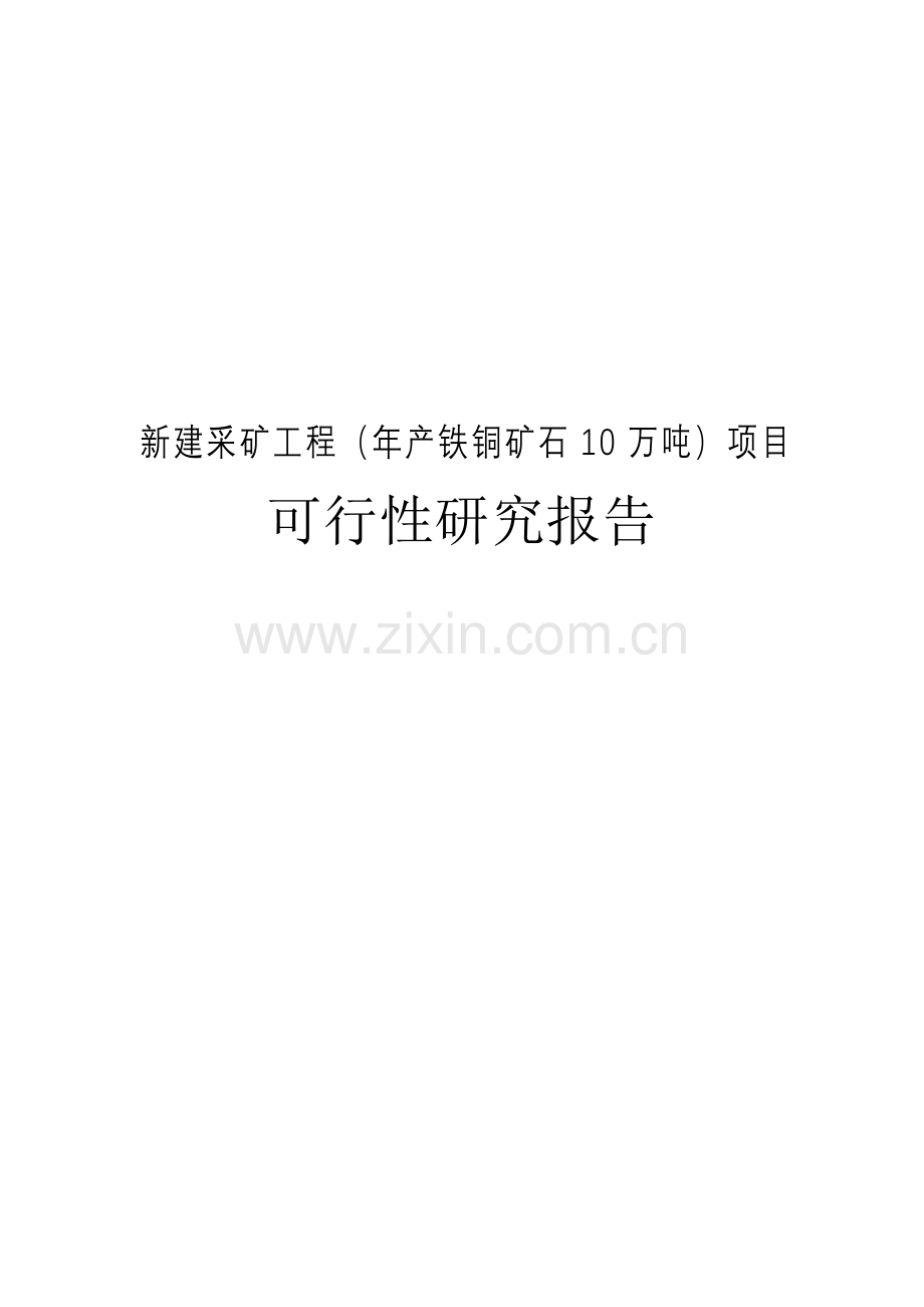 年产10w吨铁铜矿石项目可行性研究报告书.doc_第1页