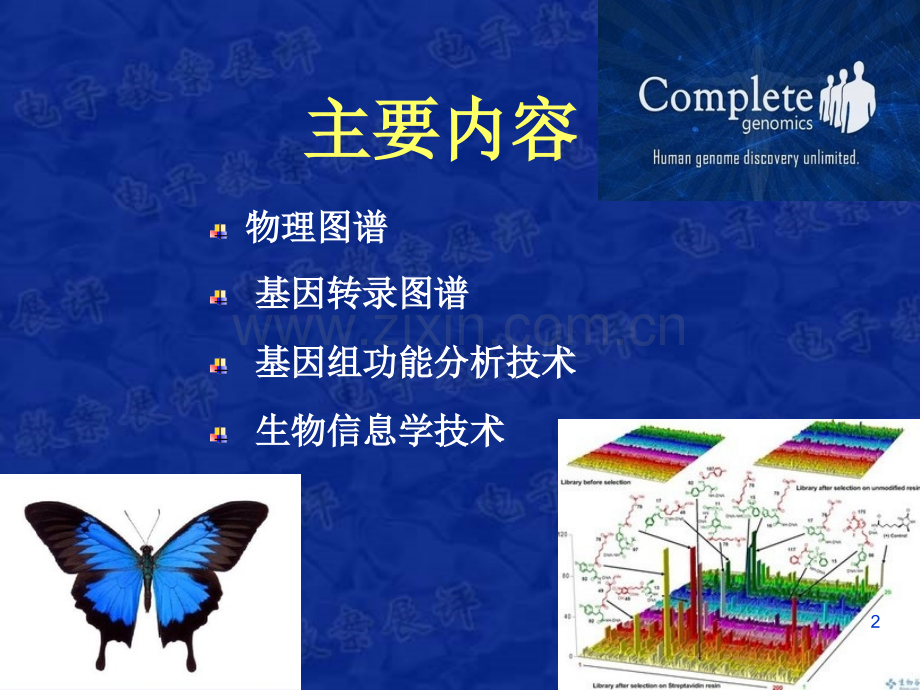 组学研究技术.ppt_第2页