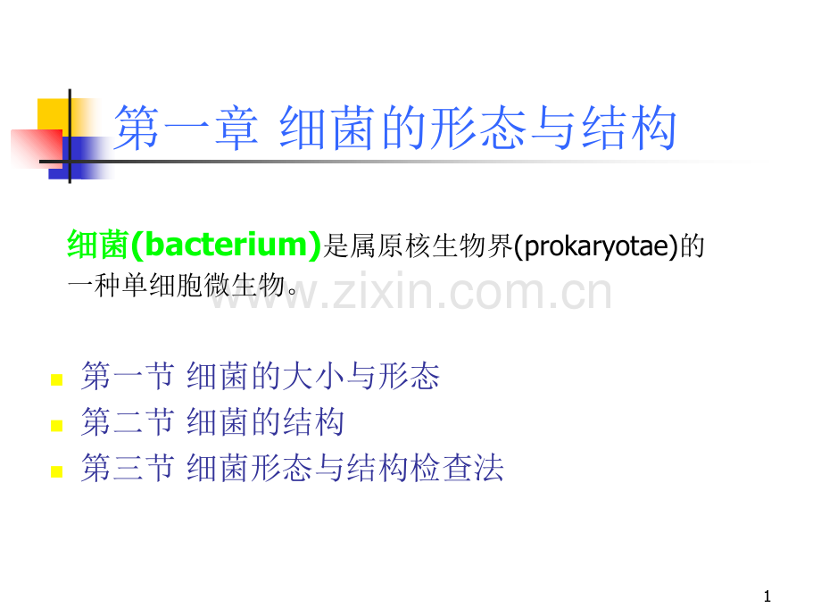 细菌形态结构特点.ppt_第1页