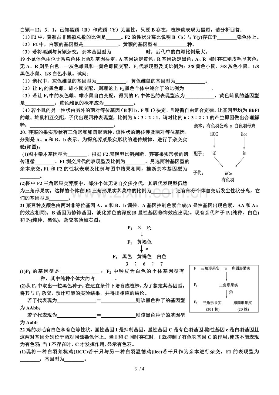 遗传中的9：3：3：1变形.doc_第3页