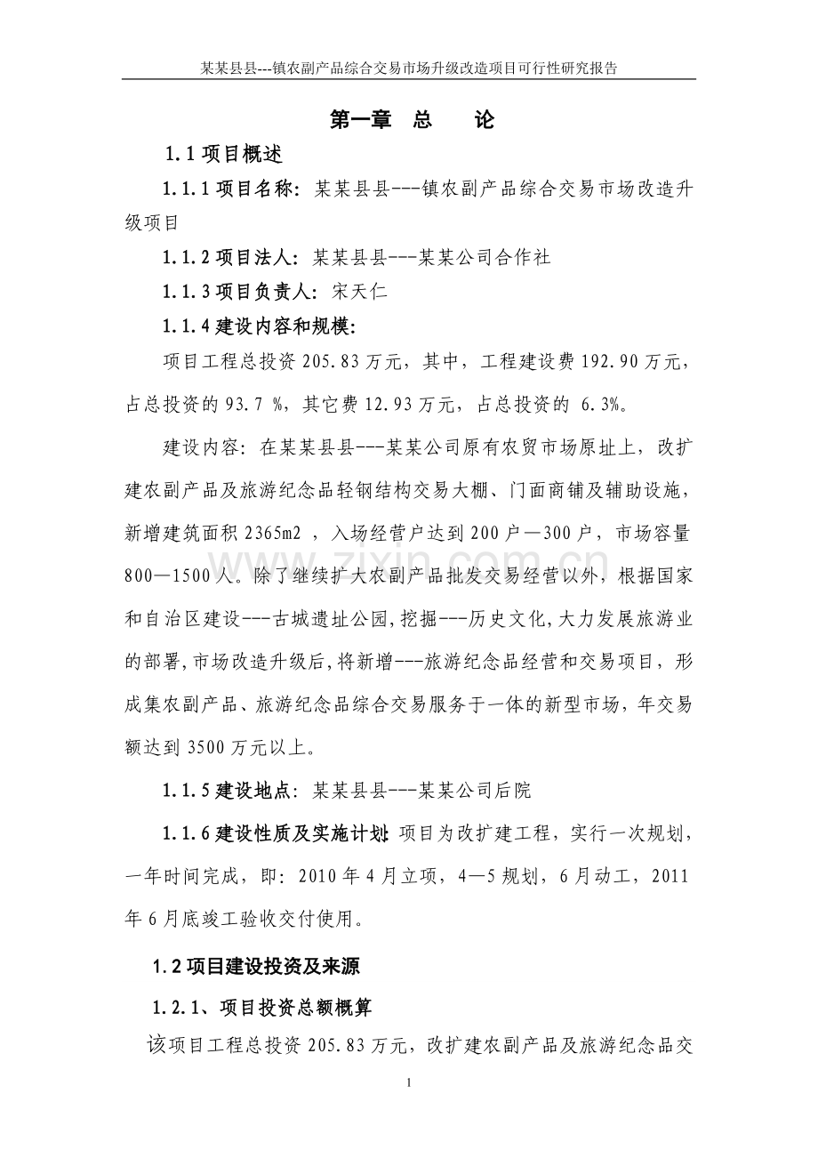 乡镇农贸市场建设可研报告.doc_第1页