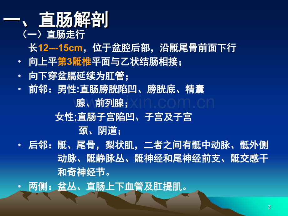 直肠肛管解剖(课堂PPT).ppt_第2页