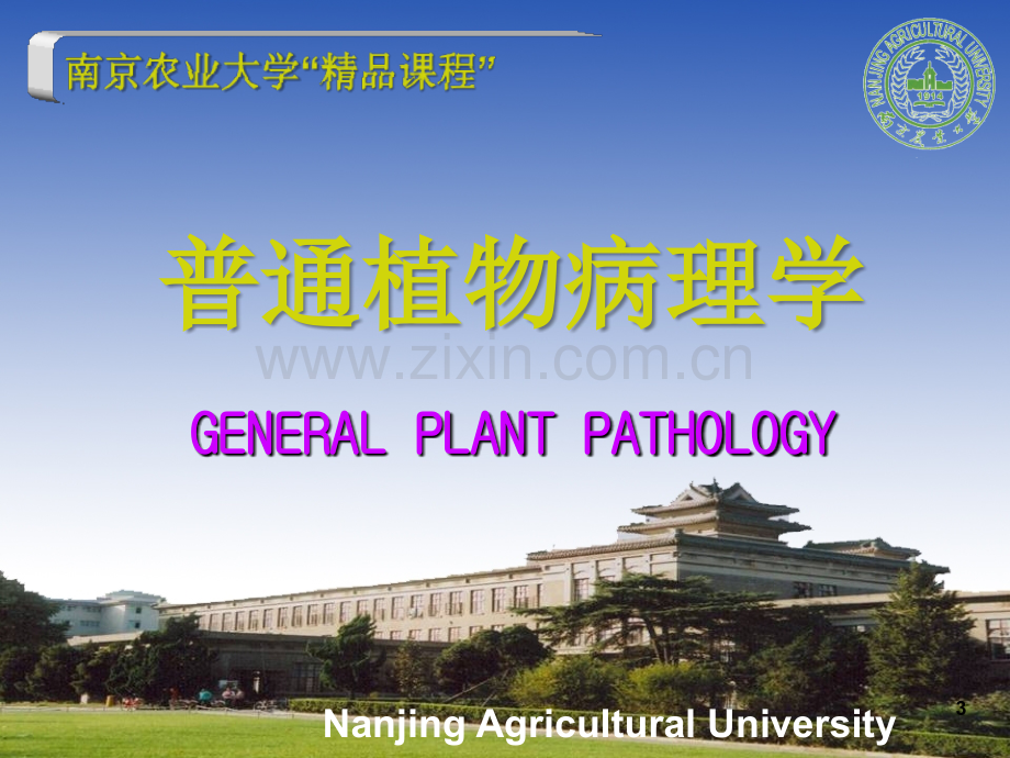 植物病害的诊断与防治.ppt_第3页