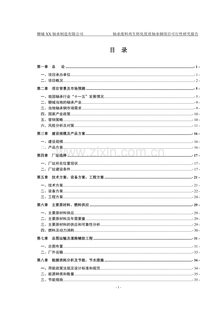 聊城轴承制造有限公司轴承废料再生转化优质轴承钢项目申请立项可研报告书.doc_第1页