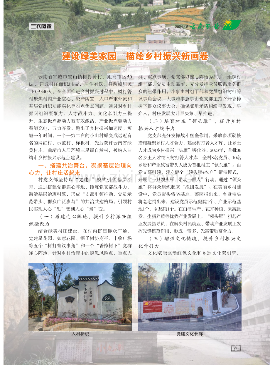 建设绿美家园 描绘乡村振兴新画卷 (1).pdf_第1页