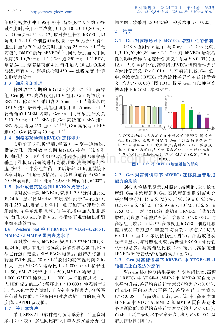 京尼平苷对高糖诱导的人视网膜血管内皮细胞增殖及血管生成的影响及机制研究.pdf_第2页