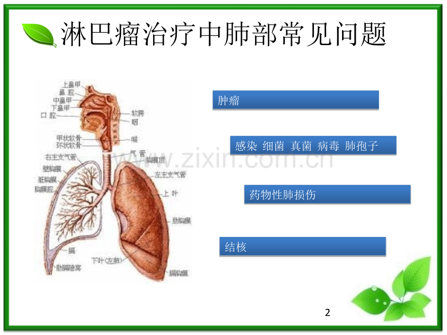 药物性肺损伤课件.ppt_第2页