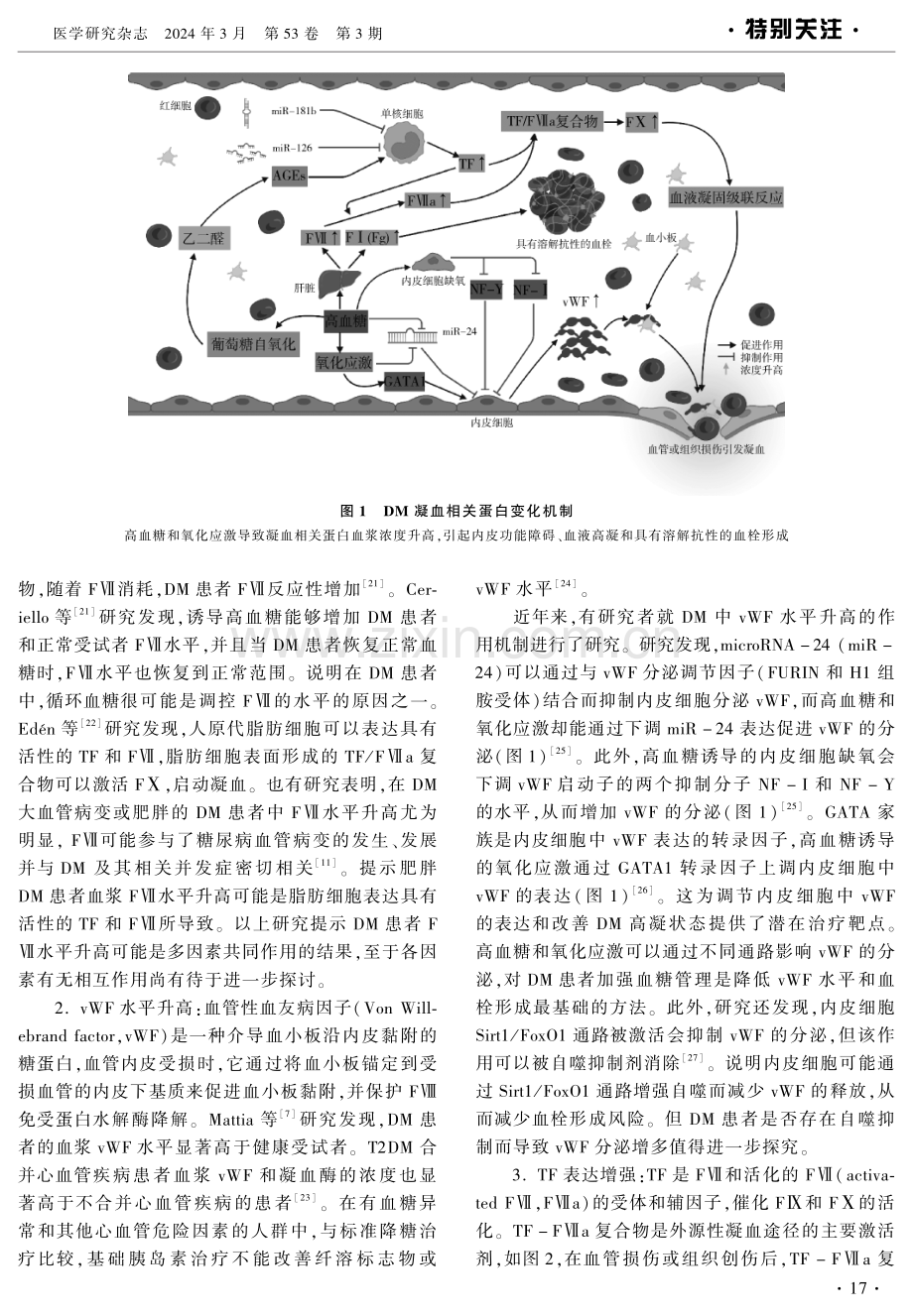 糖尿病致栓性因素的研究进展.pdf_第2页