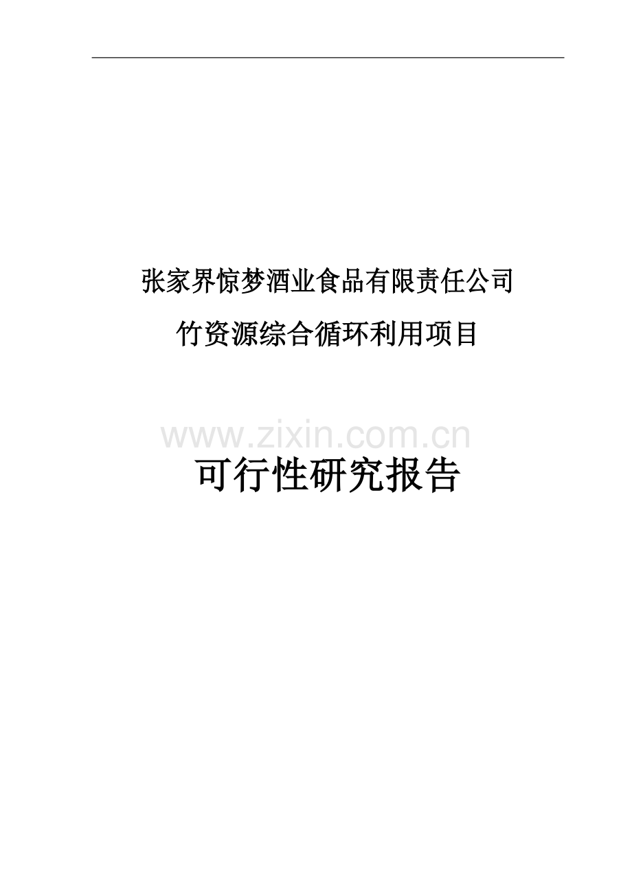 竹资源综合循环利用项目建设可行性研究报告.doc_第1页