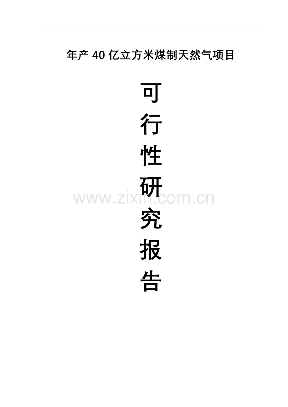 年产40亿立方米煤制天然气项目建设可行性研究报告代项目建设可行性研究报告.doc_第1页
