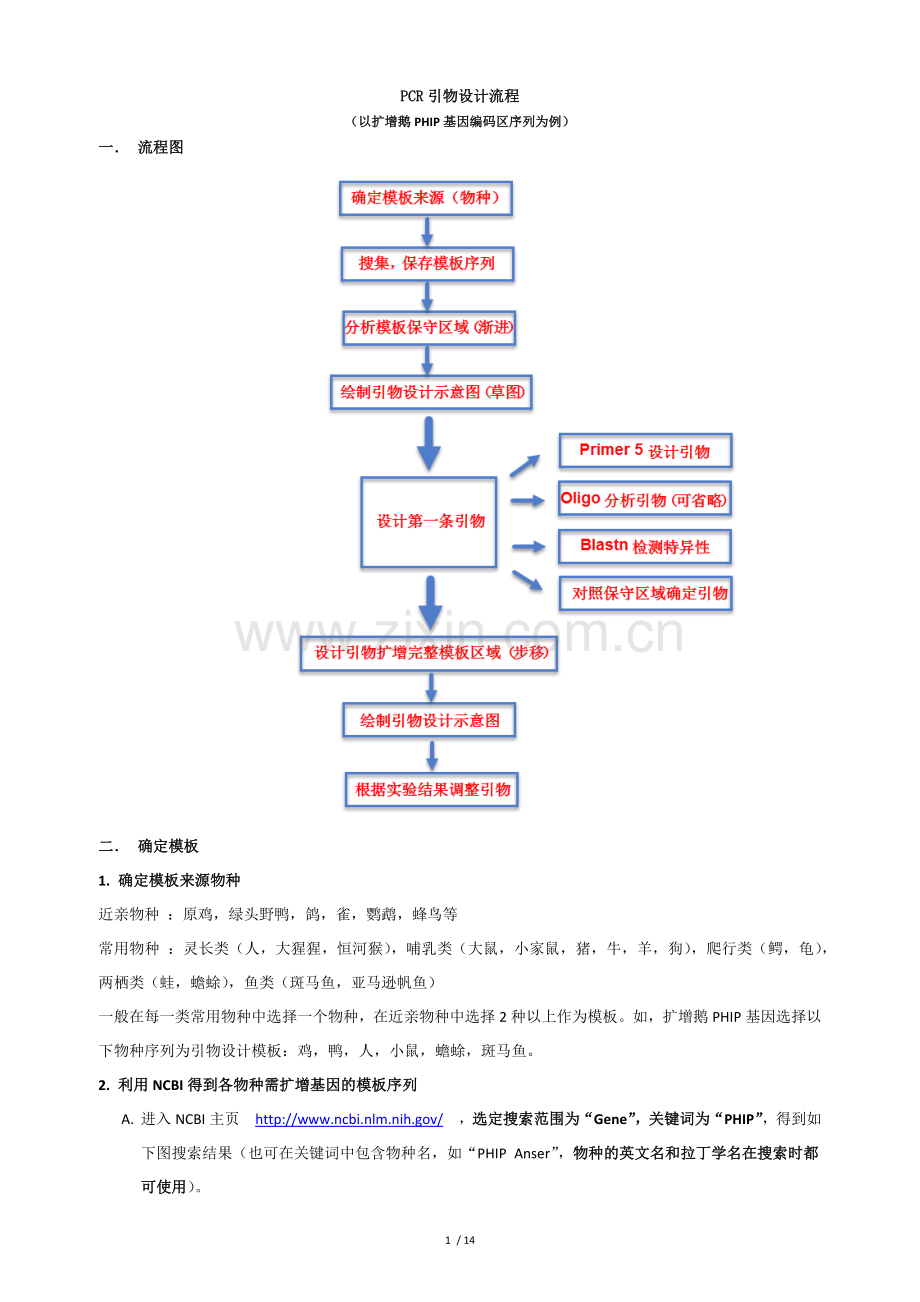 引物设计流程之基因编码区(CDS)扩增引物设计.doc_第1页