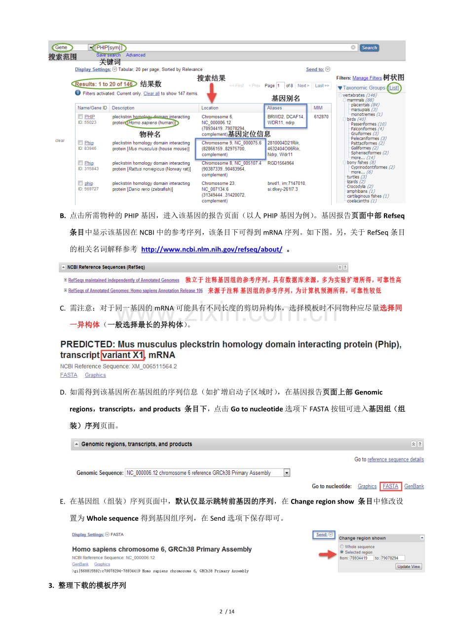 引物设计流程之基因编码区(CDS)扩增引物设计.doc_第2页