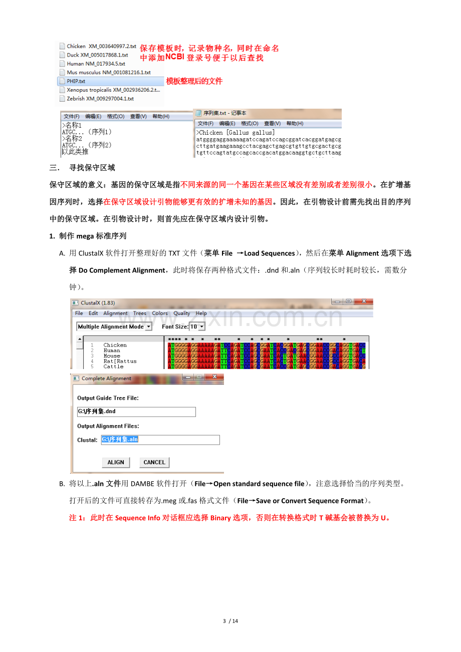 引物设计流程之基因编码区(CDS)扩增引物设计.doc_第3页