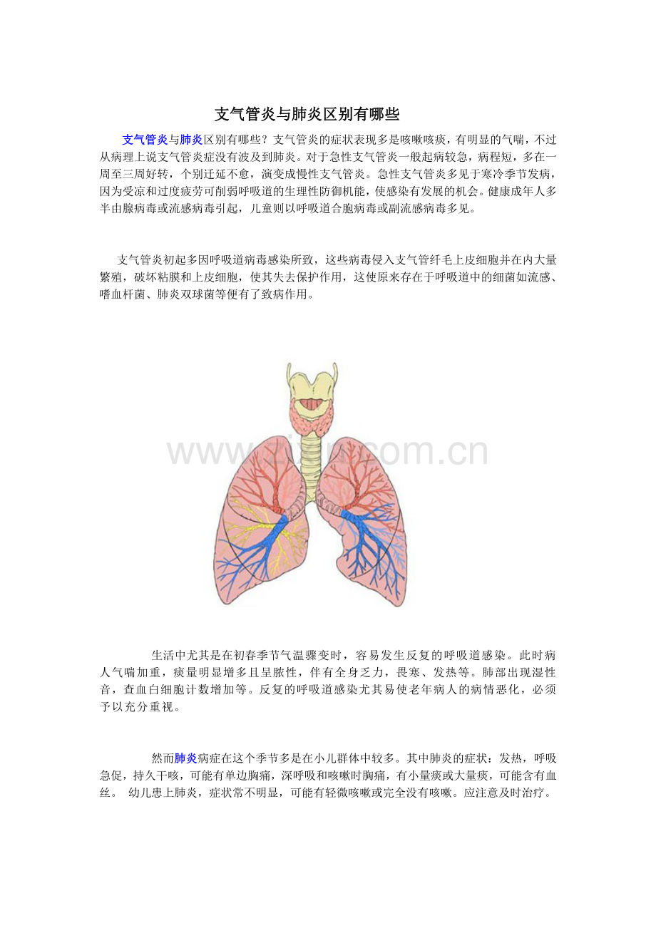 支气管炎与肺炎区别有哪些.doc_第1页