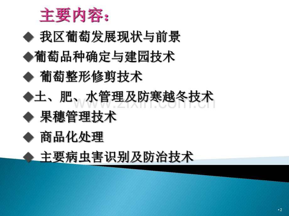 新疆葡萄栽培技术.ppt_第2页