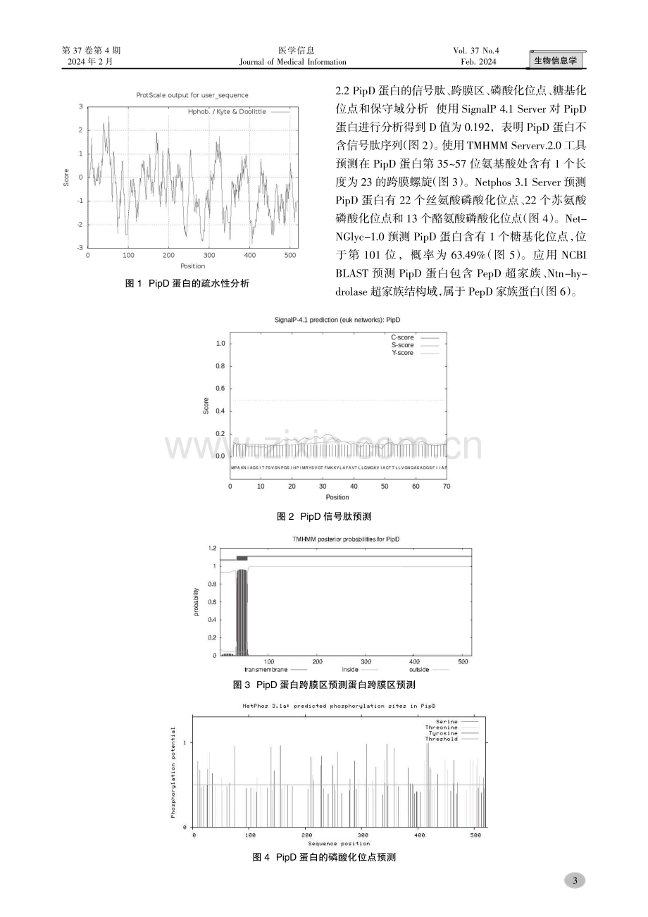 鼠伤寒沙门菌PipD蛋白结构及抗原表位的生物信息学分析.pdf_第3页