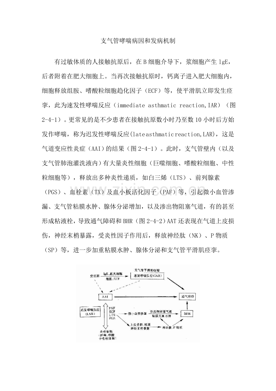 支气管哮喘病因和发病机制.doc_第1页