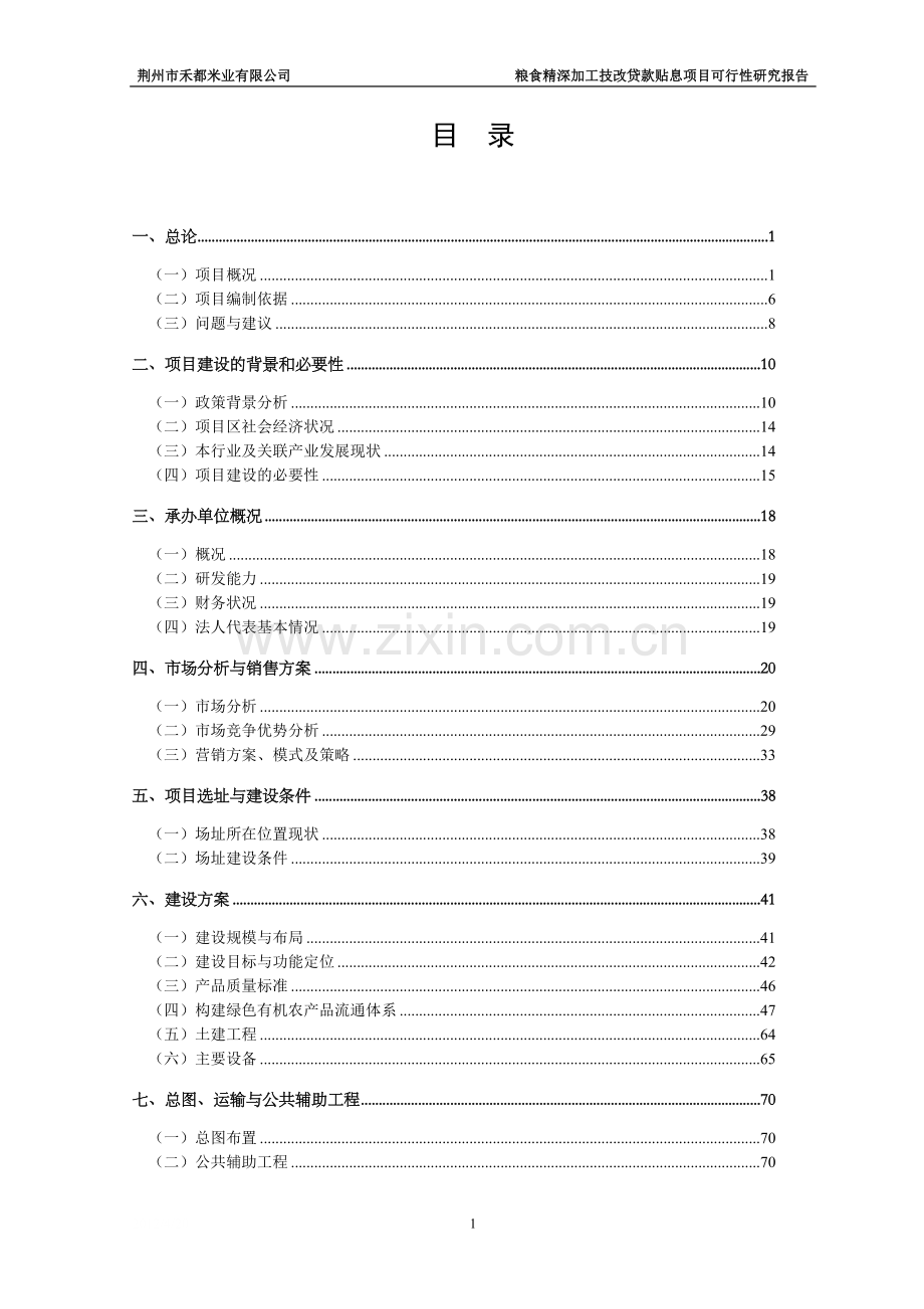 荆州市禾都米业有限公司粮食精深加工技改贷款贴息项目可行性研究报告.doc_第1页