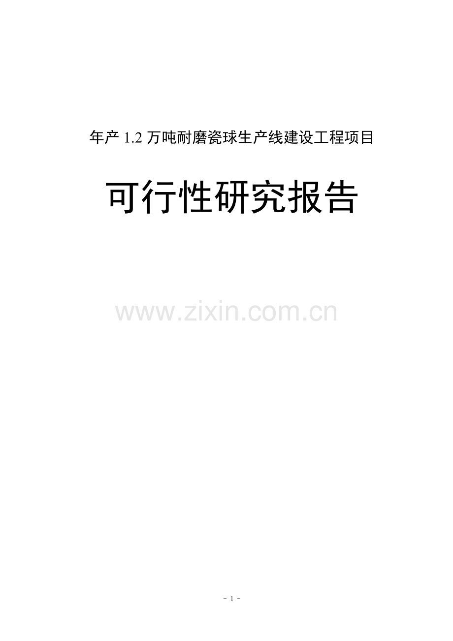 年产1.2万吨耐磨瓷球生产线工程项目建设投资可行性分析论证报告.doc_第1页