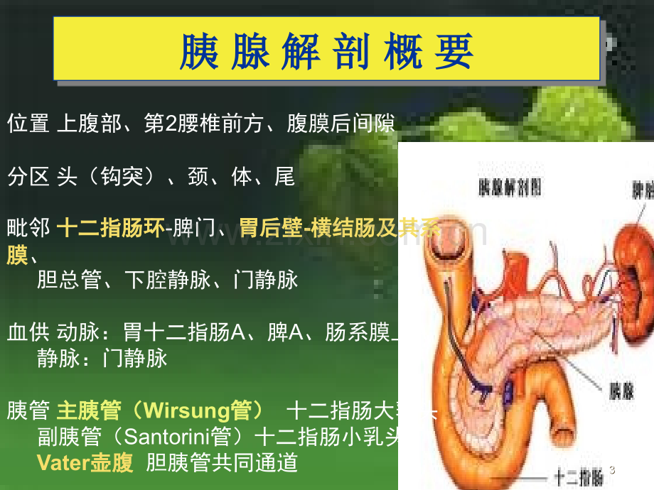 急性胰腺炎教学查房参考课件.ppt_第3页