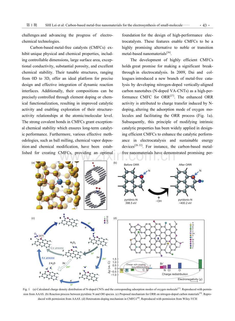 碳基无金属纳米材料用于电催化合成小分子化学品.pdf_第2页