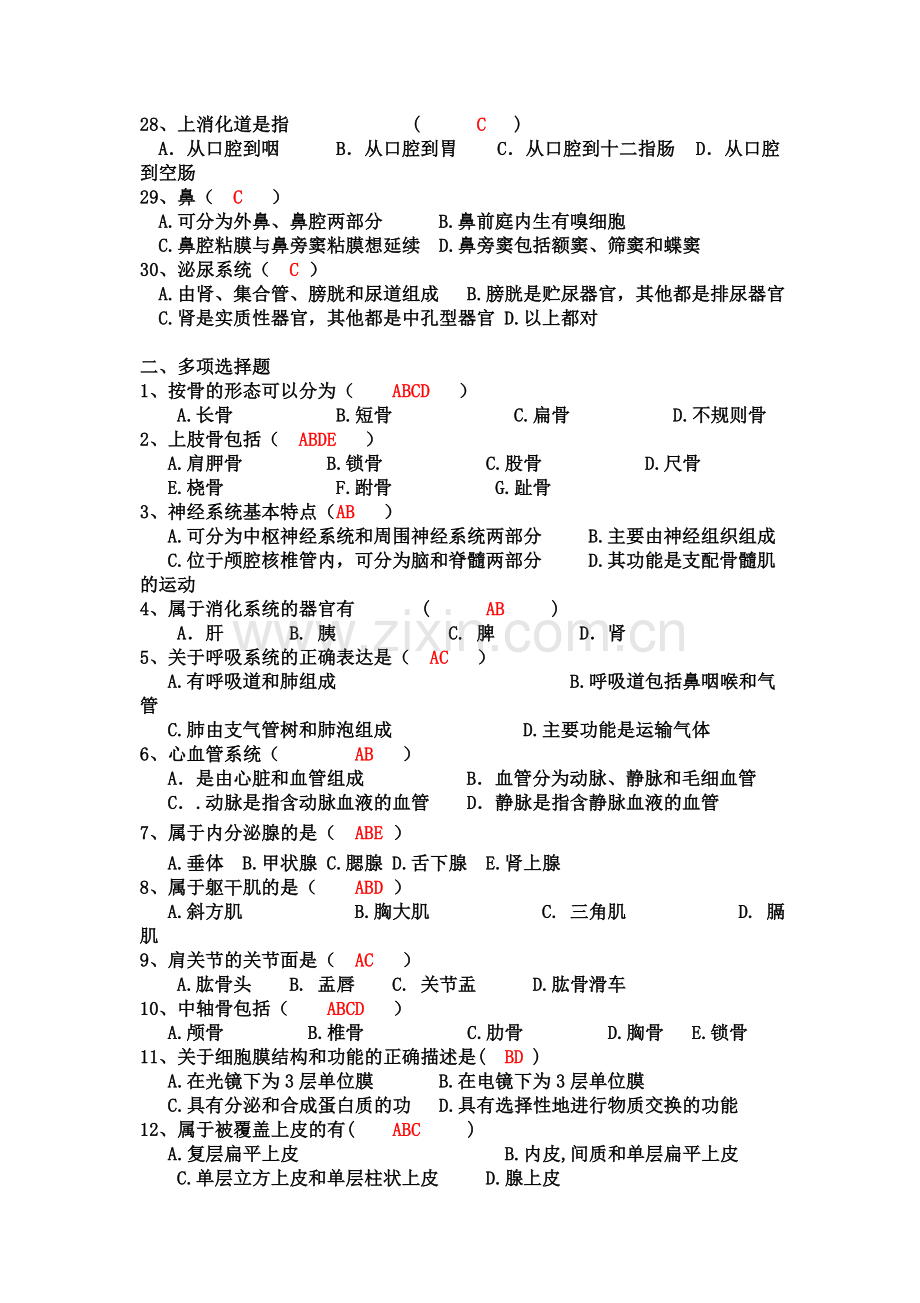 运动解剖学试题册答案.doc_第3页