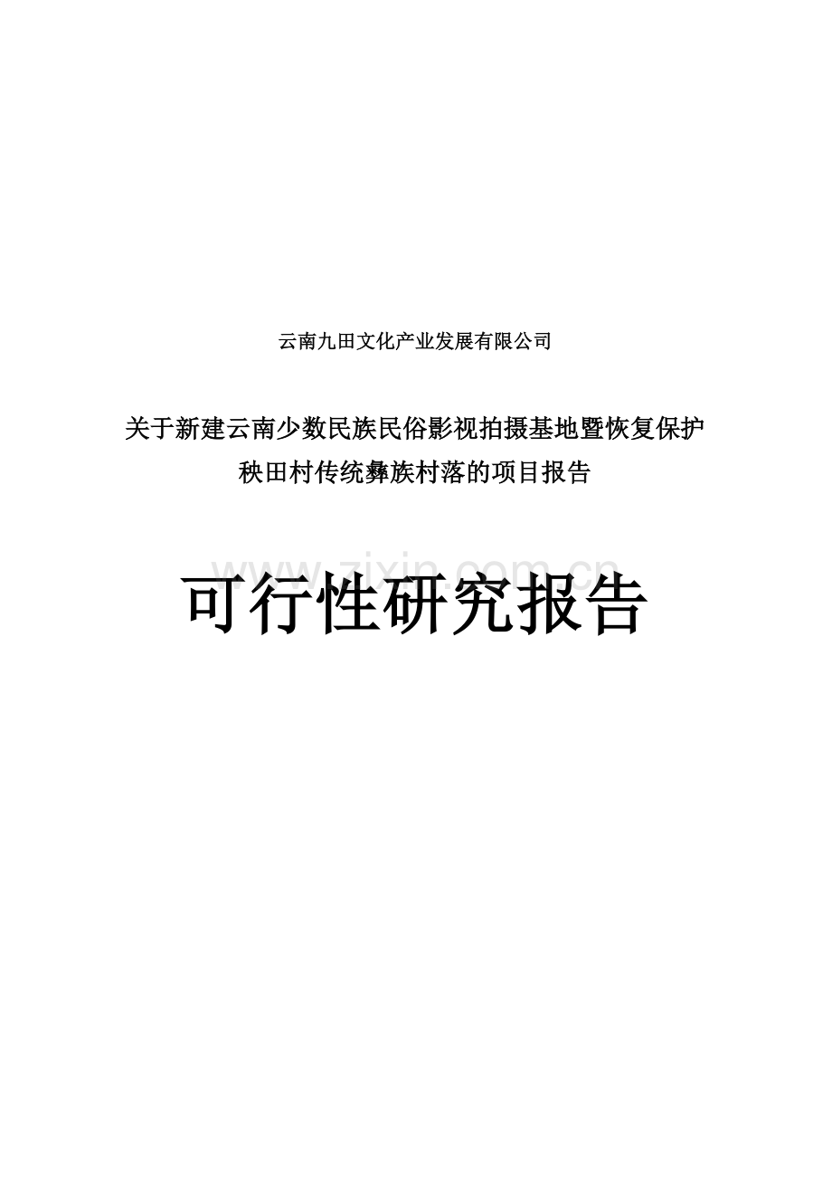 云南省民俗文化影视基地可行性研究报告.doc_第1页