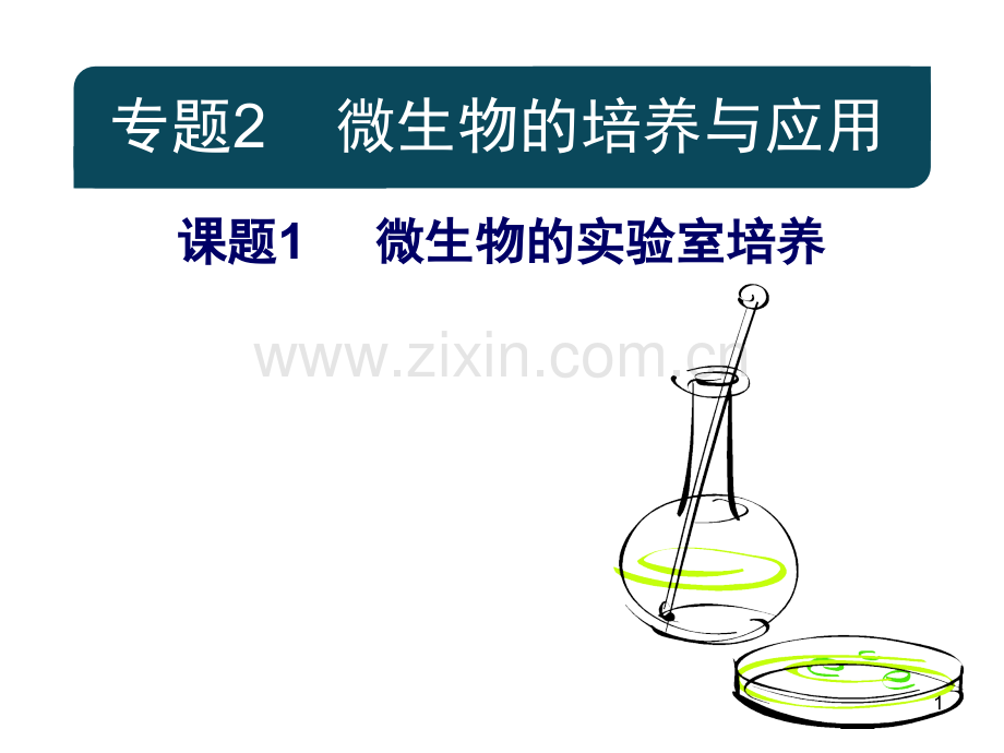 微生物的实验室培养-公开课(课堂PPT).ppt_第1页